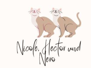 Grüße von Nicole, Hectorund Nero im Pfötchengestöber